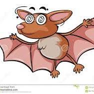 Fundraising Page: Kelly Clement